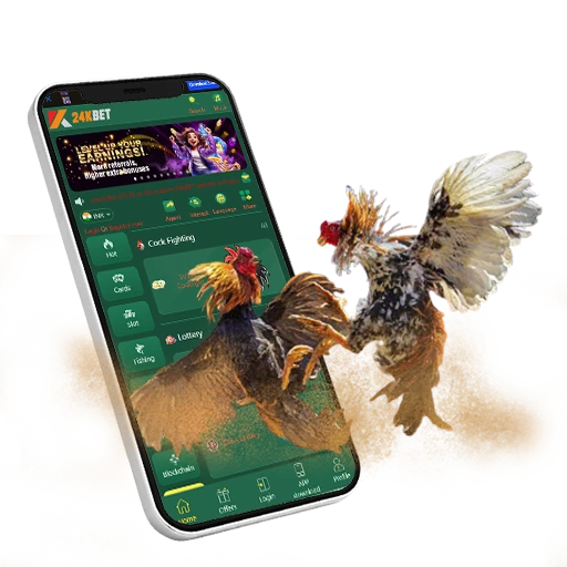 24kbet cockfight